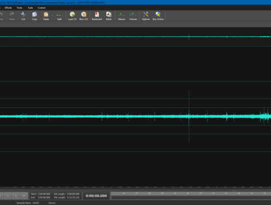 EVP Audio Recording saying "I Love You"